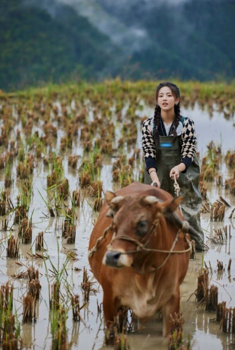 ảnh gái quê giản dị