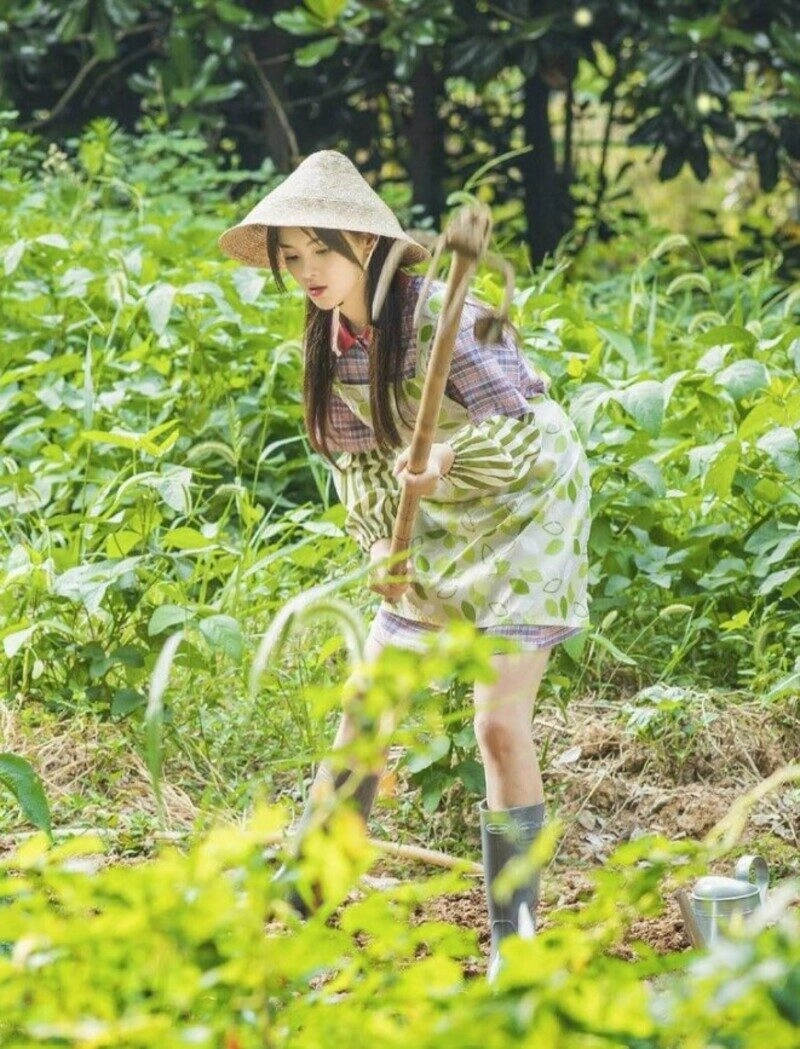 ảnh gái quê giản dị