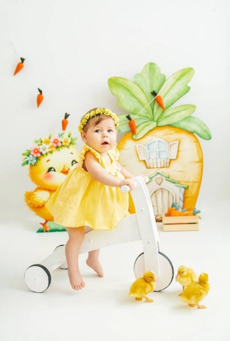 concept chụp ảnh cho bé gái 1 tuổi