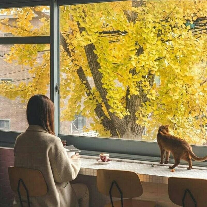 ảnh bìa tâm trạng buồn con gái