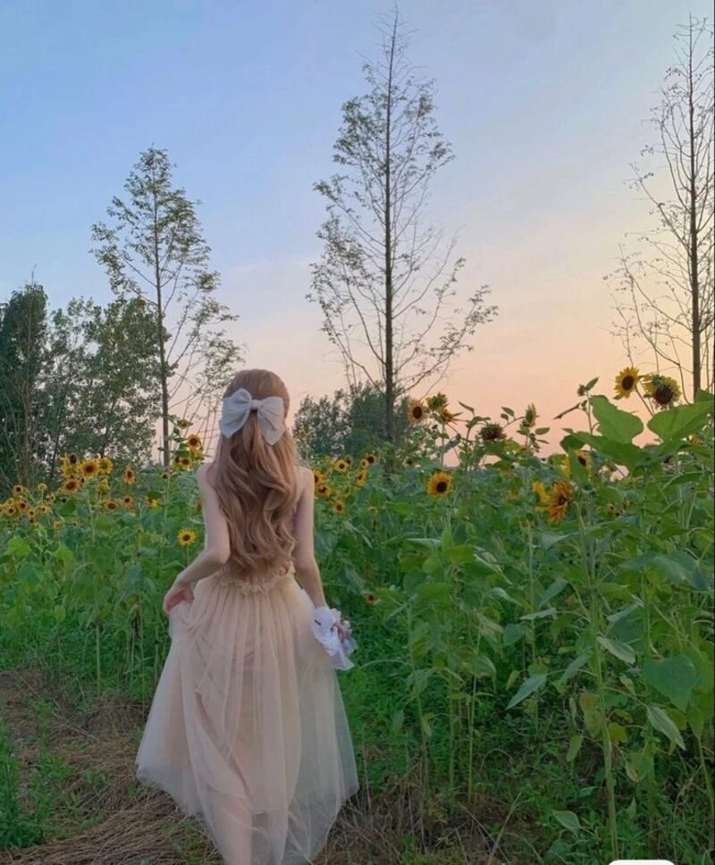 ảnh bóng lưng cô gái