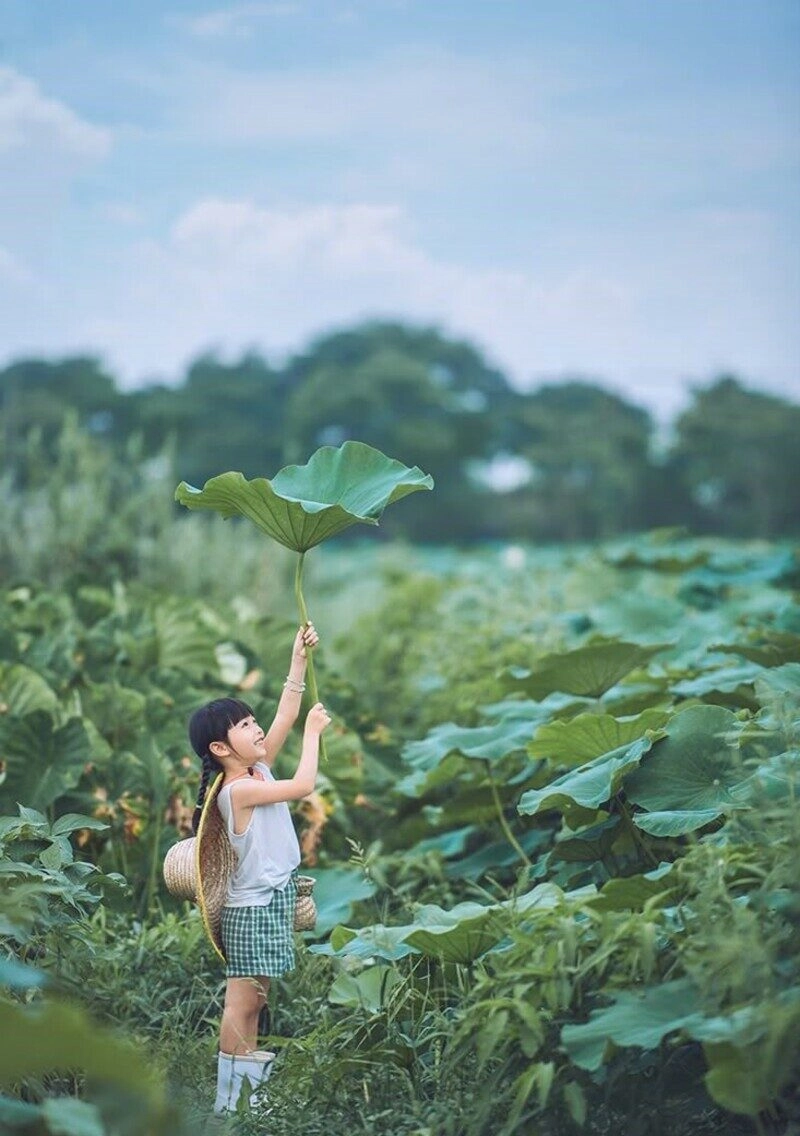 chụp ảnh sen cho bé gái