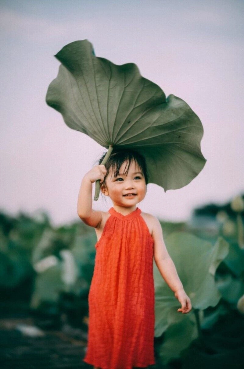 chụp ảnh sen cho bé gái