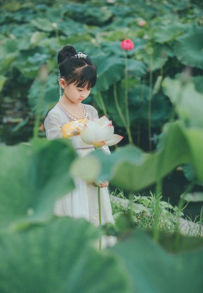 chụp ảnh sen cho bé gái