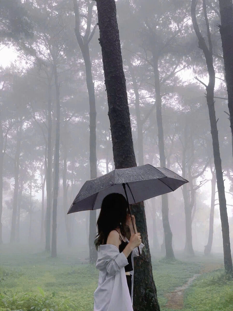 Hình ảnh cô gái xinh đẹp cầm ô đi dưới mưa xinh đẹp