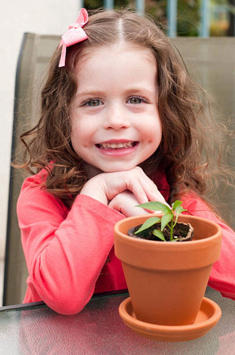 hình bé gái dễ thương có đồng tiền